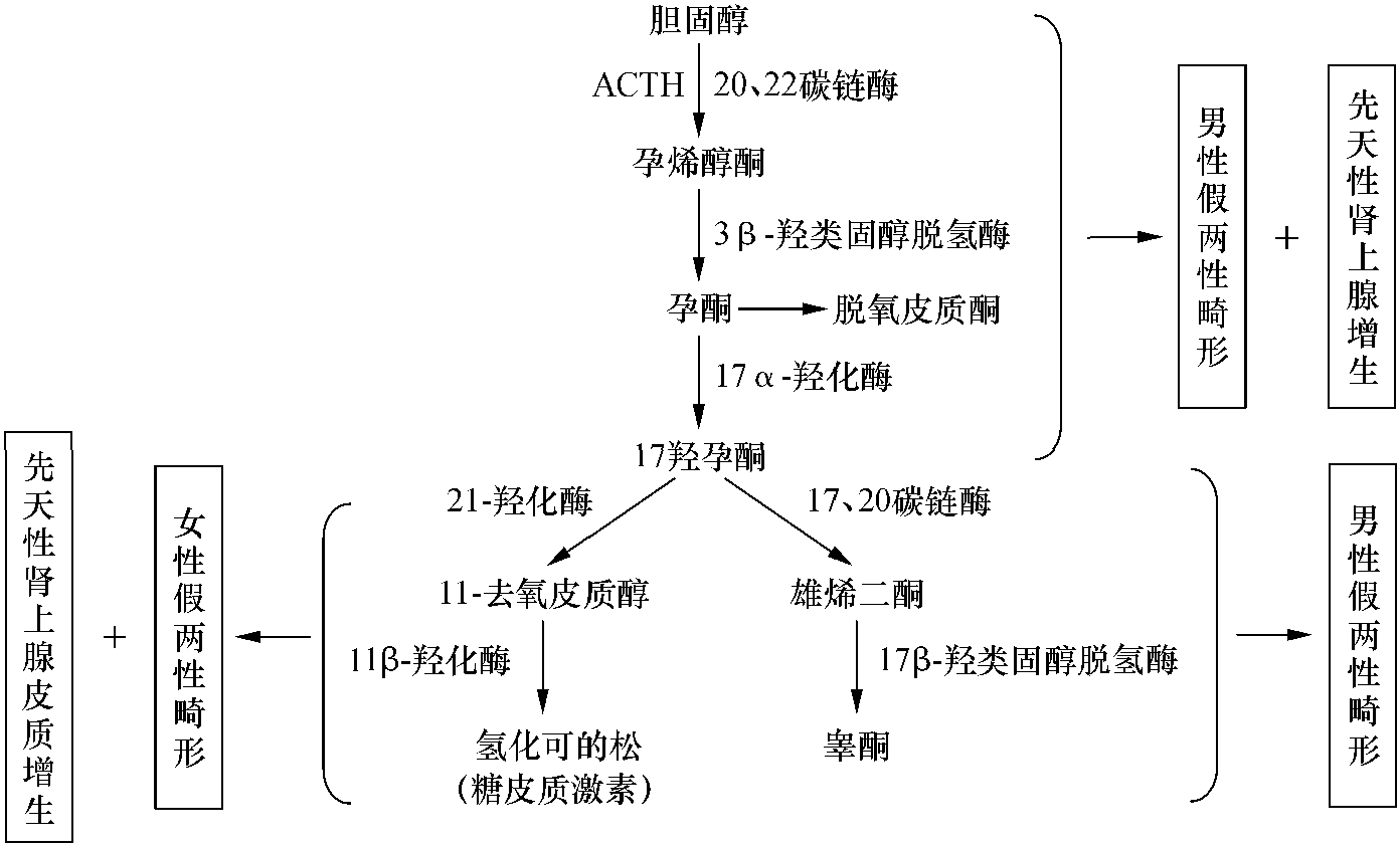 腎上腺性征異常癥